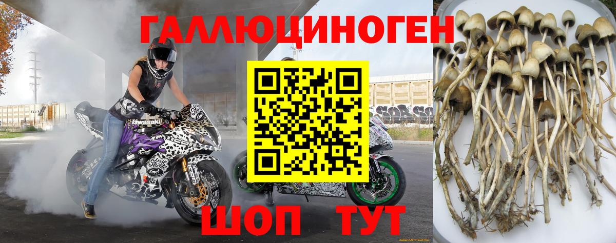 Нарткала  Псилоцибиновые грибы MAGIC MUSHROOMS  купить наркоту  Вход с VPN 